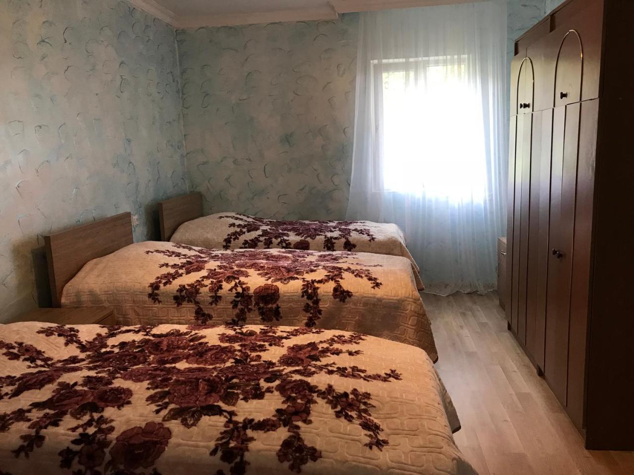 Guest House Luka Danisparauli 外观 照片