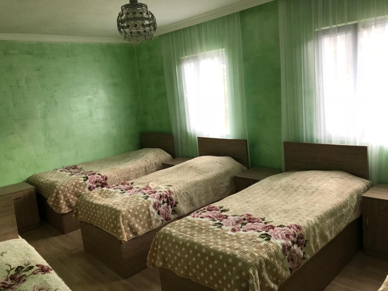 Guest House Luka Danisparauli 外观 照片