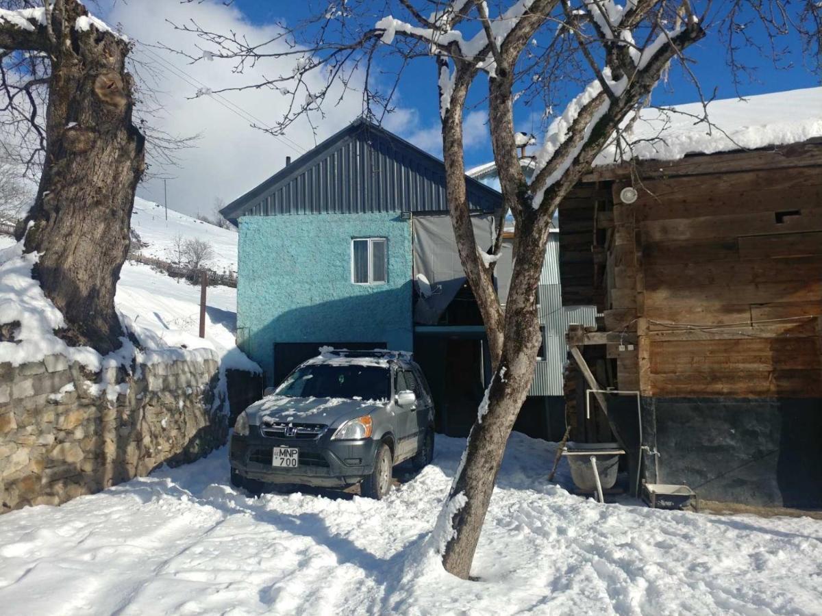 Guest House Luka Danisparauli 外观 照片